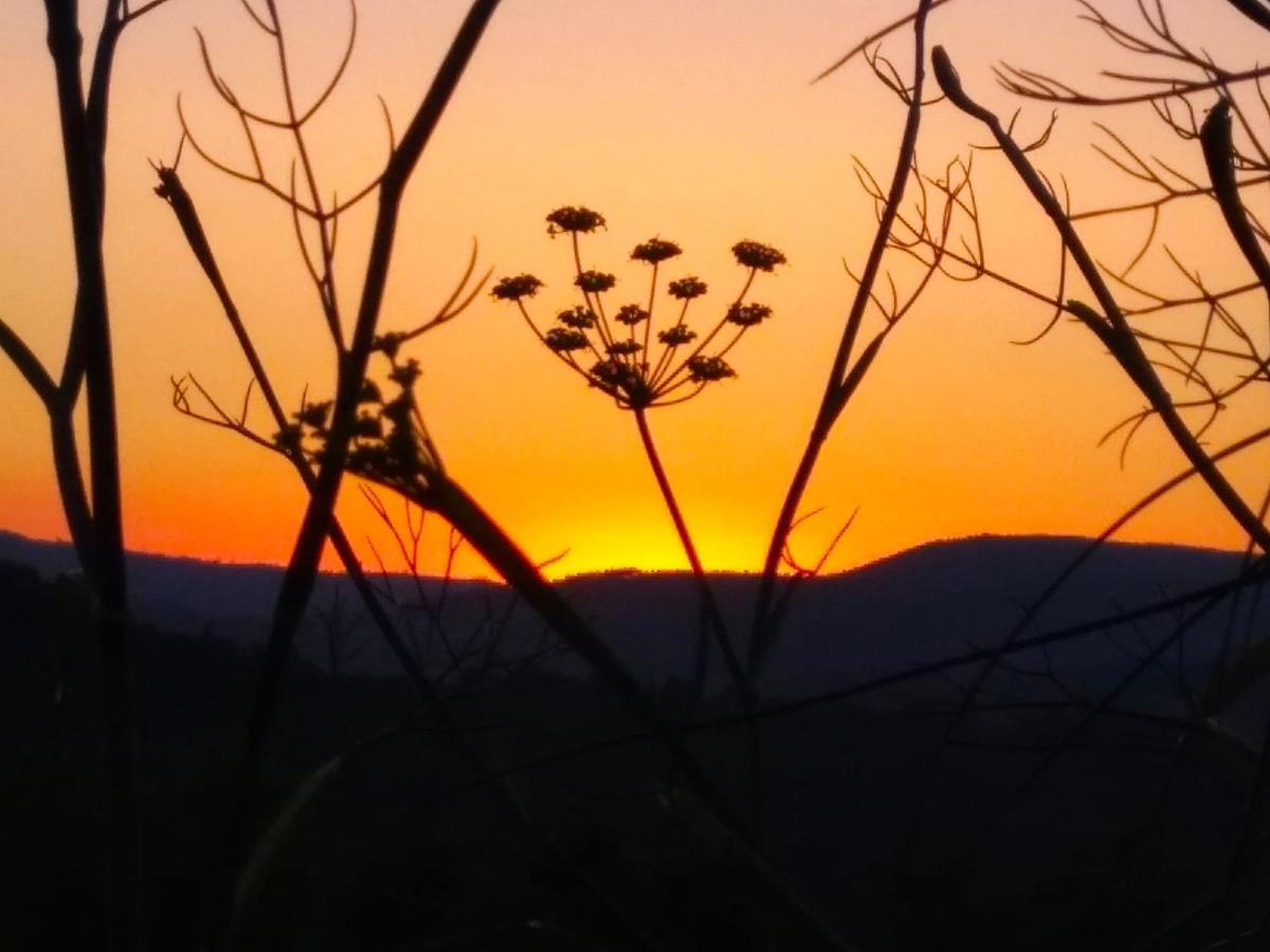 Airinos De Mondariz Villa Dış mekan fotoğraf