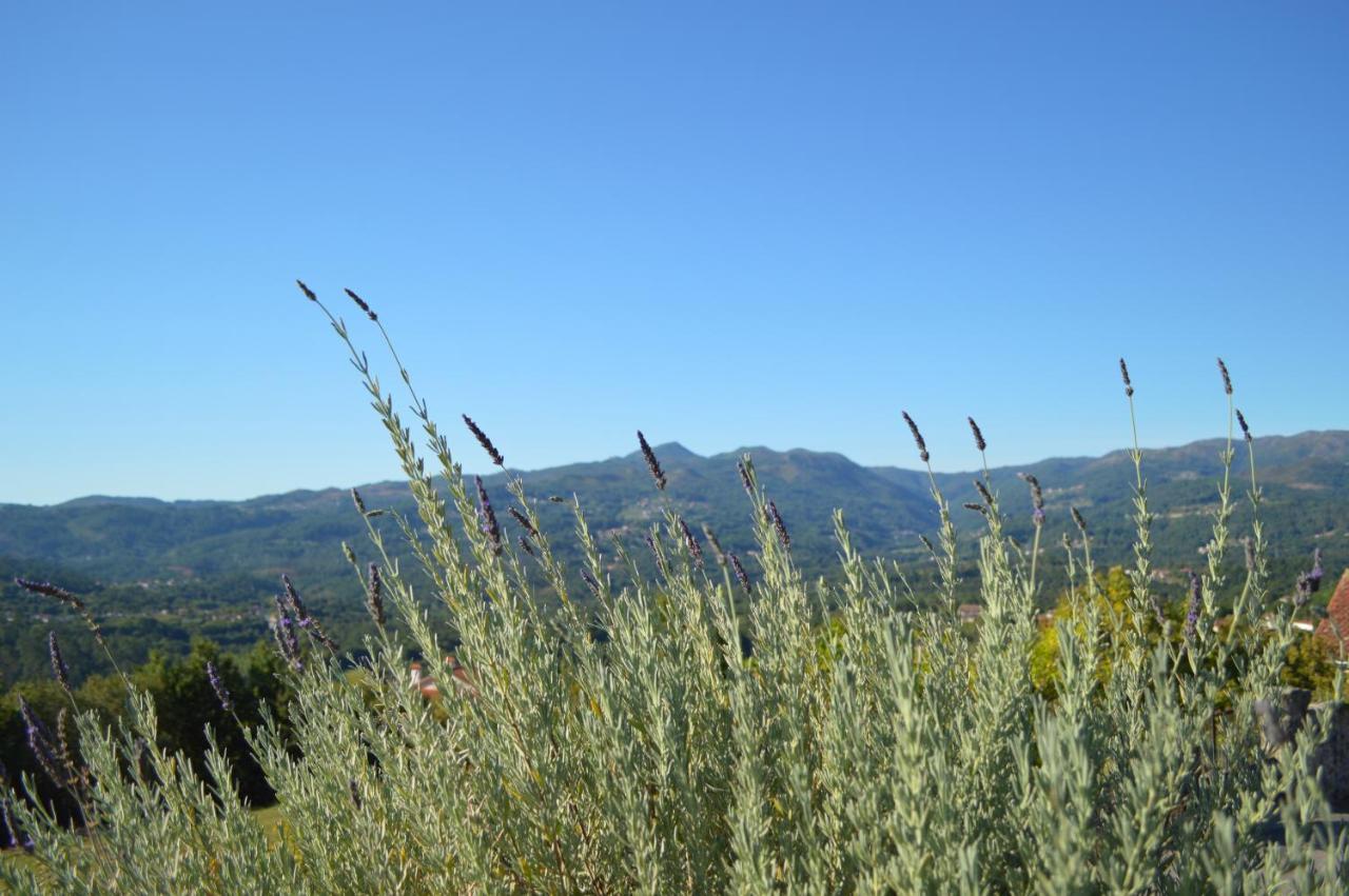 Airinos De Mondariz Villa Dış mekan fotoğraf